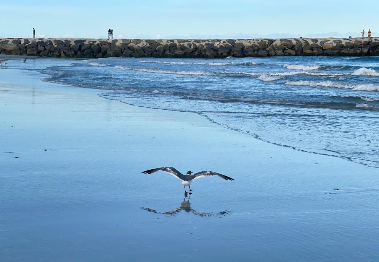 Atlantic City-Waterfront Park-Amazing 360 Views Bagian luar foto